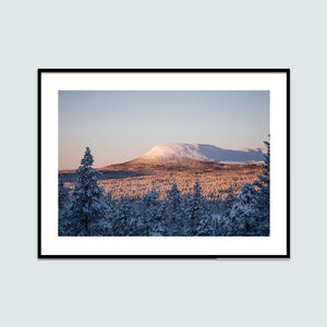 Solen lyser på Nipfjället