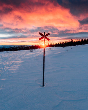 Solnedgång bakom ledkryss