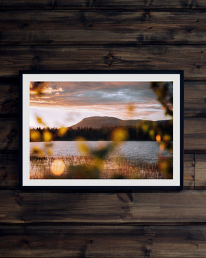 Sommar solnedgång Nipfjället