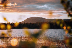 Sommar solnedgång Nipfjället