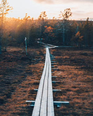 Spång i Grövelsjön