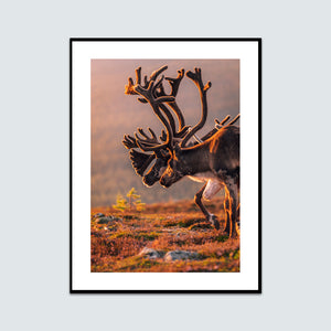 Vandring mot solnedgången