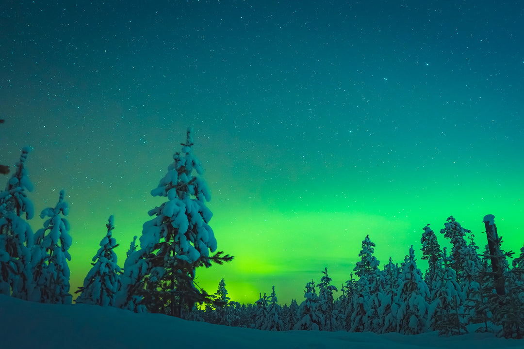 Vinter norrsken
