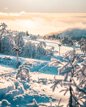 Vinter på Nipfjället