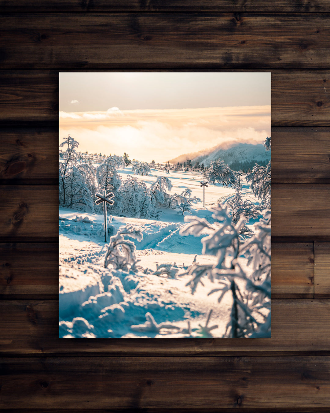 Canvas Vinter på Nipfjället